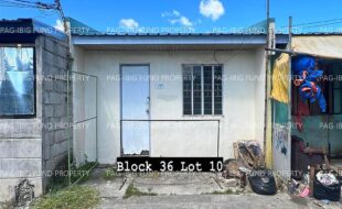 fil4020231205011