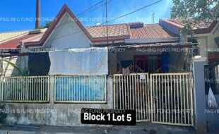 fil4020240108019