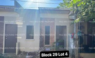 fil4020240201003