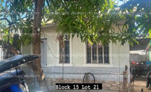 fil4020240201009