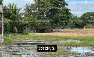 fil4020240401034