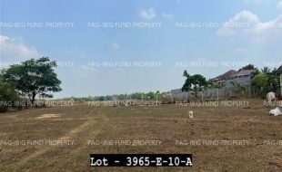 fil4020240422009