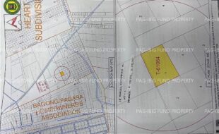 fil4020240422057