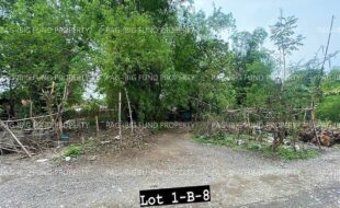 fil4020240620069