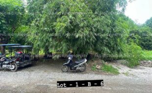 fil4020240620070