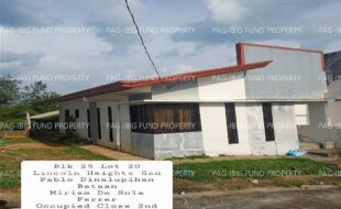 fil4020240827080