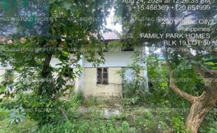 fil4020240828041
