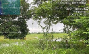 fil4020240905038