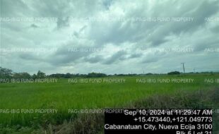 fil4020240911011