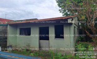 fil4020240918251