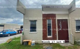 fil4020240925034
