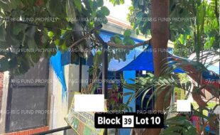 fil4020240925036