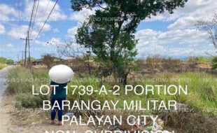 fil4020241001116