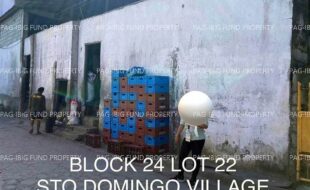 fil4020241001186