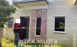 fil4020241003091