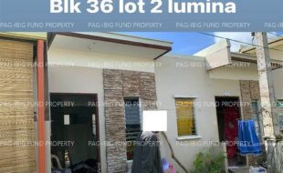 fil4020241003136