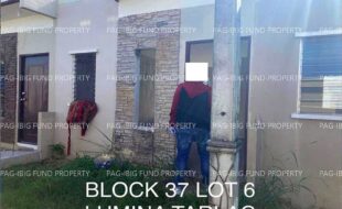 fil4020241003141