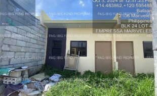 fil4020241007322