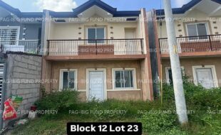 fil4020241118011