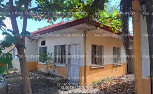 fil4020250224157