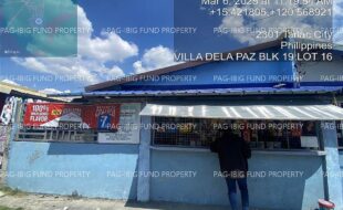 fil4020250307015