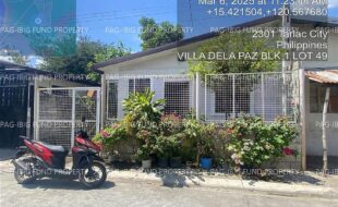 fil4020250307037