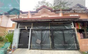 fil4020250310173