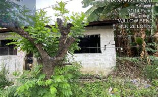 fil4020250404045