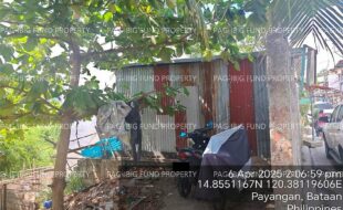 fil4020250408036