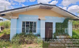 fil4020250415143