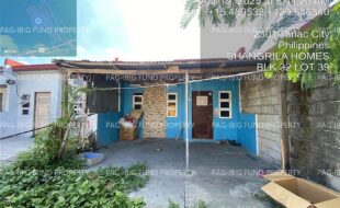 fil4020250422062
