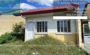 fil4020250422096