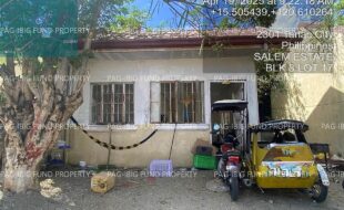 fil4020250422108