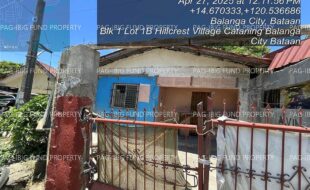 fil4020250429022