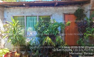 fil4020250502055
