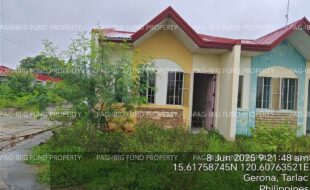 fil4020250609071