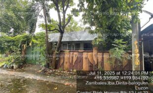 fil4020250714042