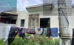 fil4020250715024