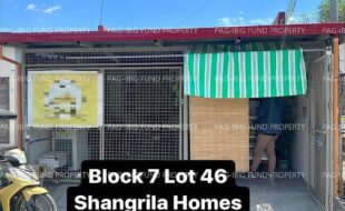 fil4020250719026