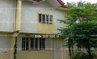 fil4020250719088