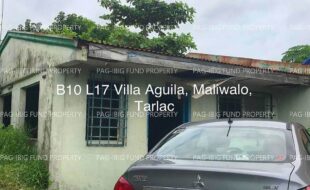 fil4020250719093