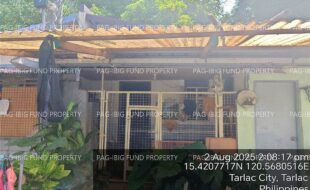 fil4020250805027