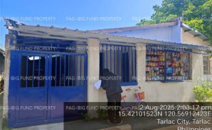 fil4020250805081
