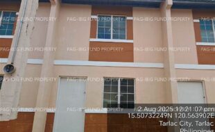 fil4020250805082