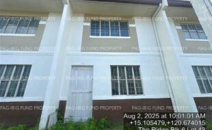 fil4020250806051
