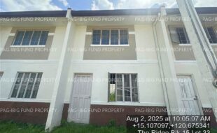 fil4020250806055