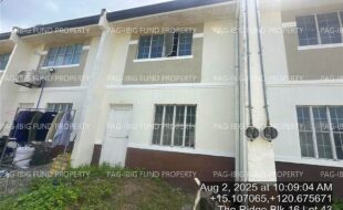 fil4020250806057