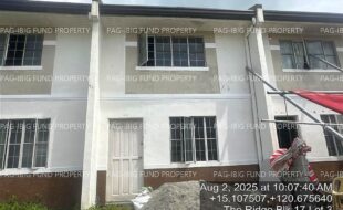 fil4020250806074