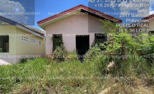 fil4020250814053