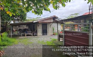 fil4020250818007